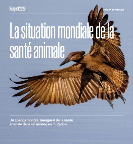 La situation mondiale de la santé animale La situation mondiale de la santé animale