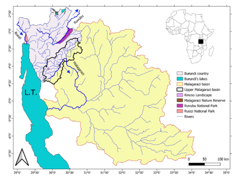 Distribution of Enteromius nzigidaherai sp. nov. (type loc.: type locality; hist.: historical sampling before 2008; rec.: recent sampling from 2008 onwards) and of its two most similar congeners also present in upper Malagarazi (uM) in Burundi, that is, E. lineomaculatus and E. quadrilineatus. The flow direction of the rivers is indicated by a blue arrow. Main affluents of the uM in Burundi (from up- to downstream): 1. Rukoziri, 2. Nyakabanda, 3. Mutsindozi, 4. Muyovozi, 5. Kinwa, 6. Mazimero, 7. Mukazye, a