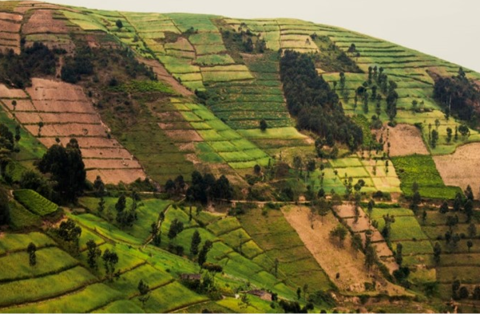 Paysage type du Burundi