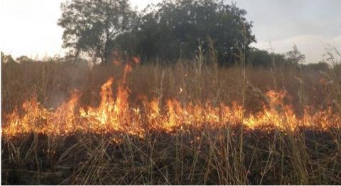 Le code forestier burundais définit les feux de forêts et de brousse comme ceux détruisant les formations végétales et animales dans le milieu