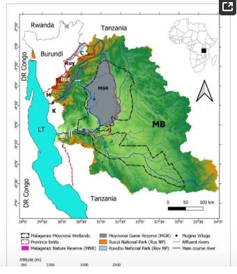 Le bassin de Malagarazi est situé dans la partie sud-est du Burundi et la partie nord-ouest de la Tanzanie [1,2]. Son bassin versant couvre plus de 50 % du bassin du lac Tanganyika (LT), y compris le bassin du lac Kivu [2,3]. Elle est située à une altitude comprise entre environ 2500 m, à la source de certains de ses affluents de la rive gauche au Burundi, et 776 m, où elle se jette dans le LT (Figure 1). Le bassin supérieur de Malagarazi (uM) prend sa source près du village de Mugina (province de Makamba,