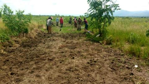 Déforestation au Parc National de la Kibira